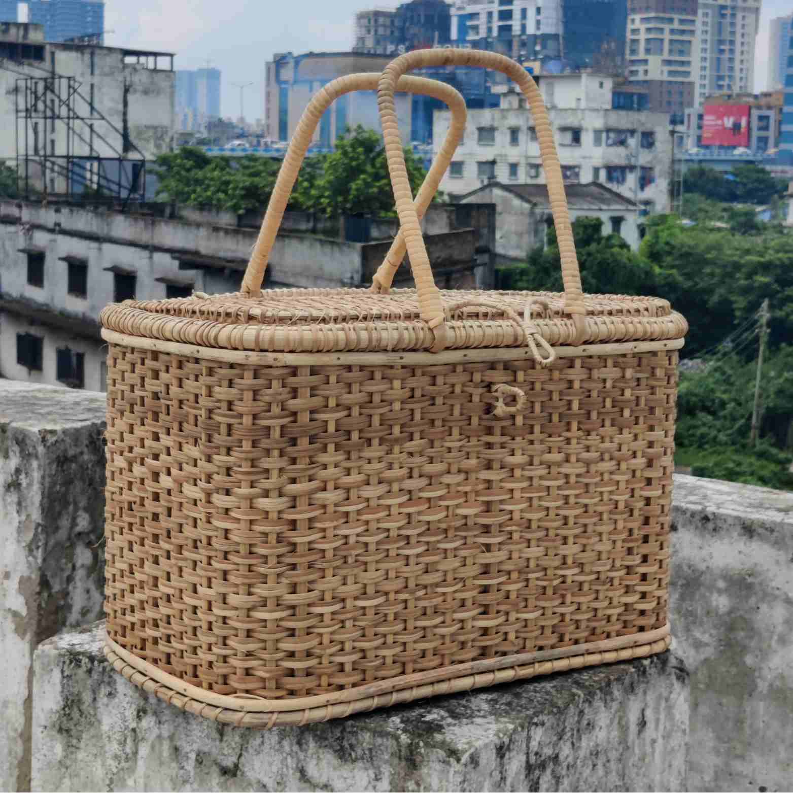 Welle Picnic Basket - Iris Atelier India